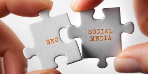 seo social media profiles