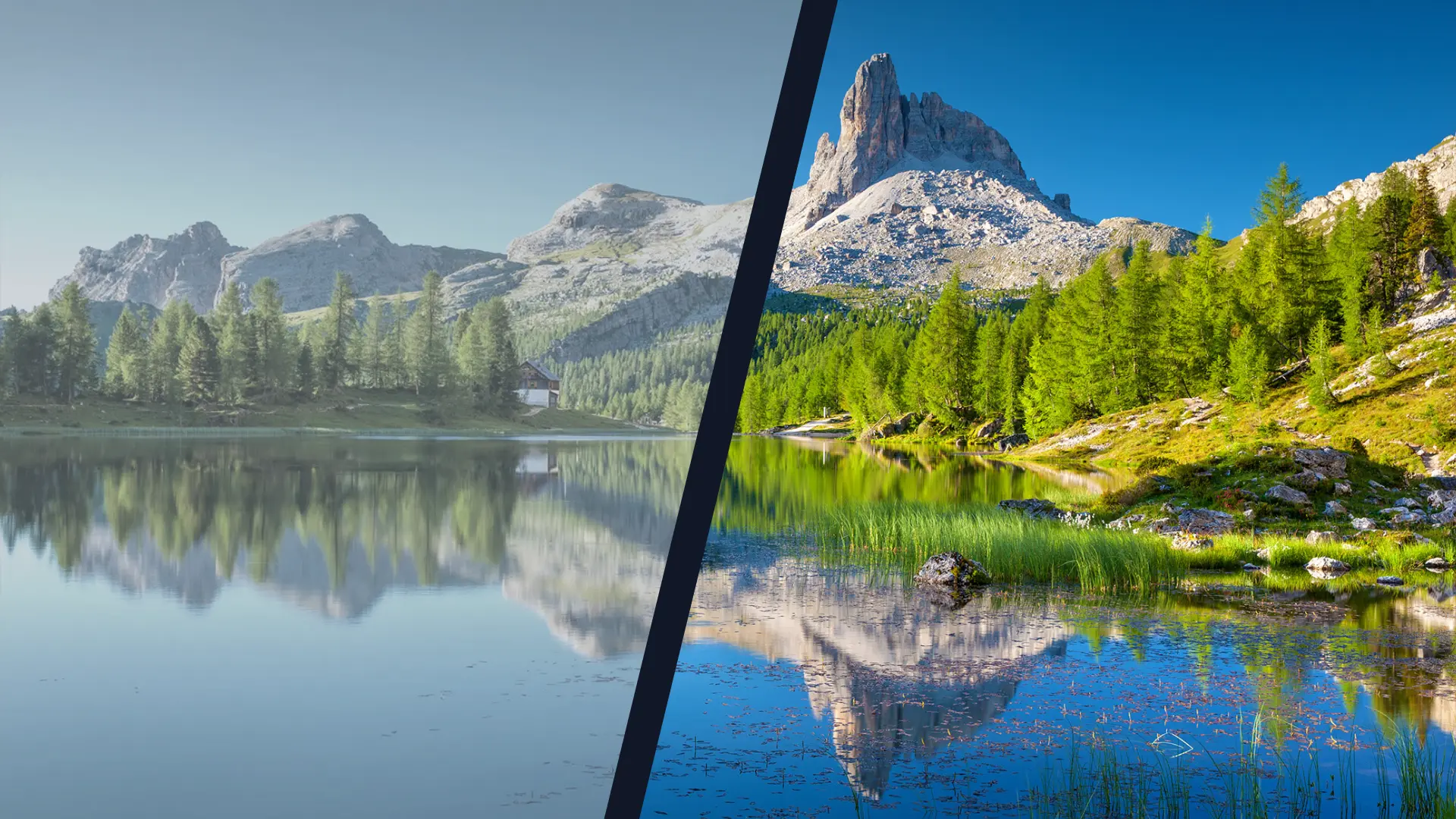 How to use the AI Image Colorizer app