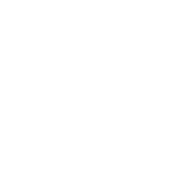 SEO Blog