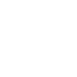SEO Packages