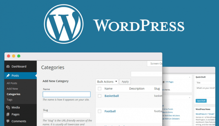 SEO wordpress categories and tags