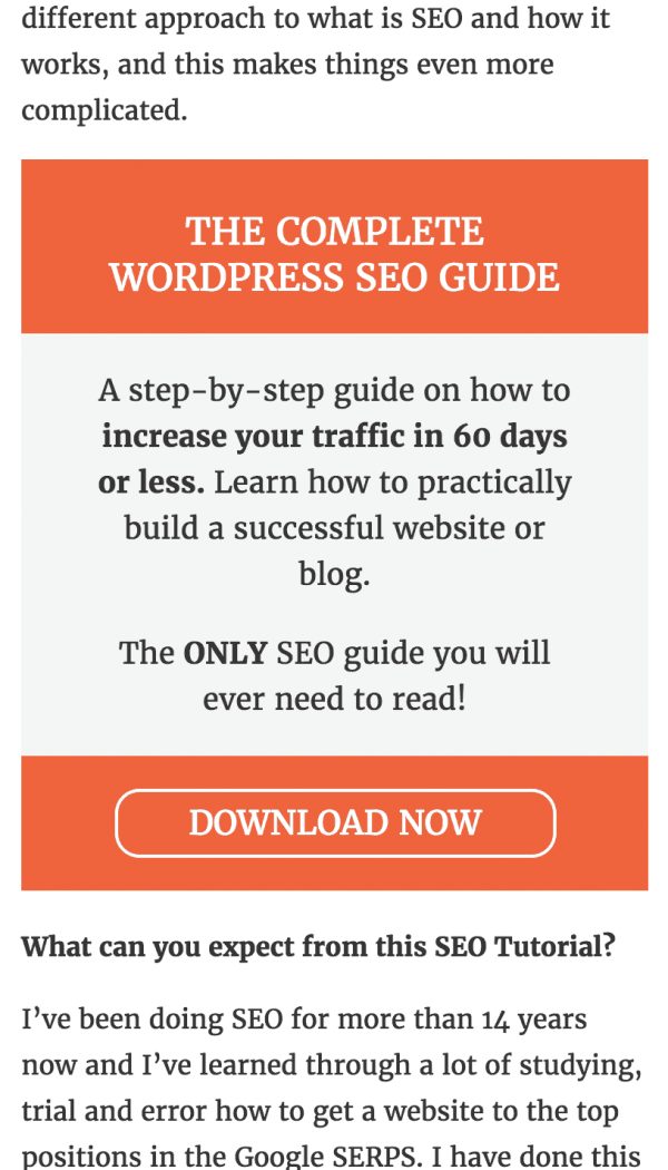 How to Make Your WordPress site AMP Friendly & Boost Your SEO