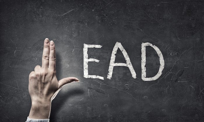 increase subscribers with facebook lead ads