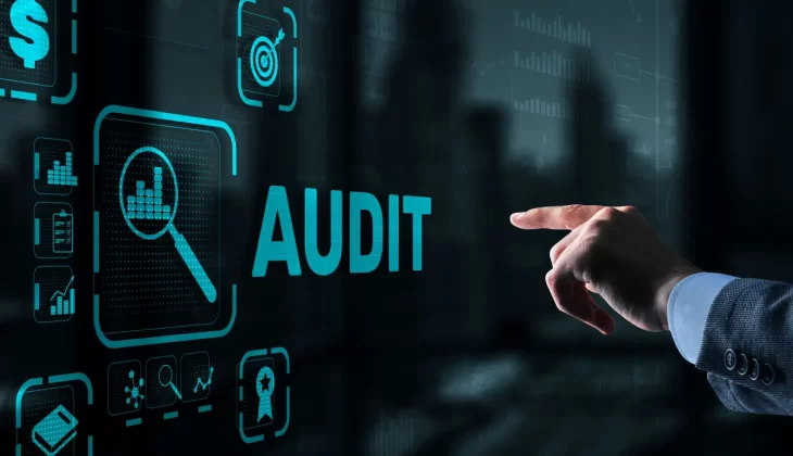 SEO Audit Guide