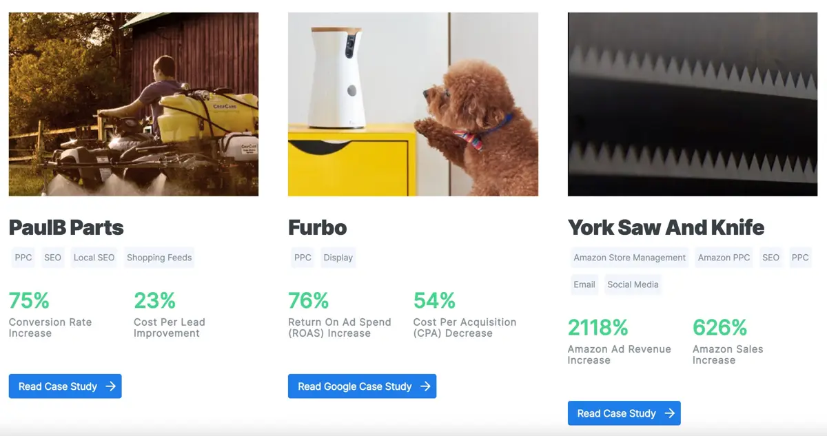 10 Best Digital Marketing Portfolio Examples To Inspire You In 2024