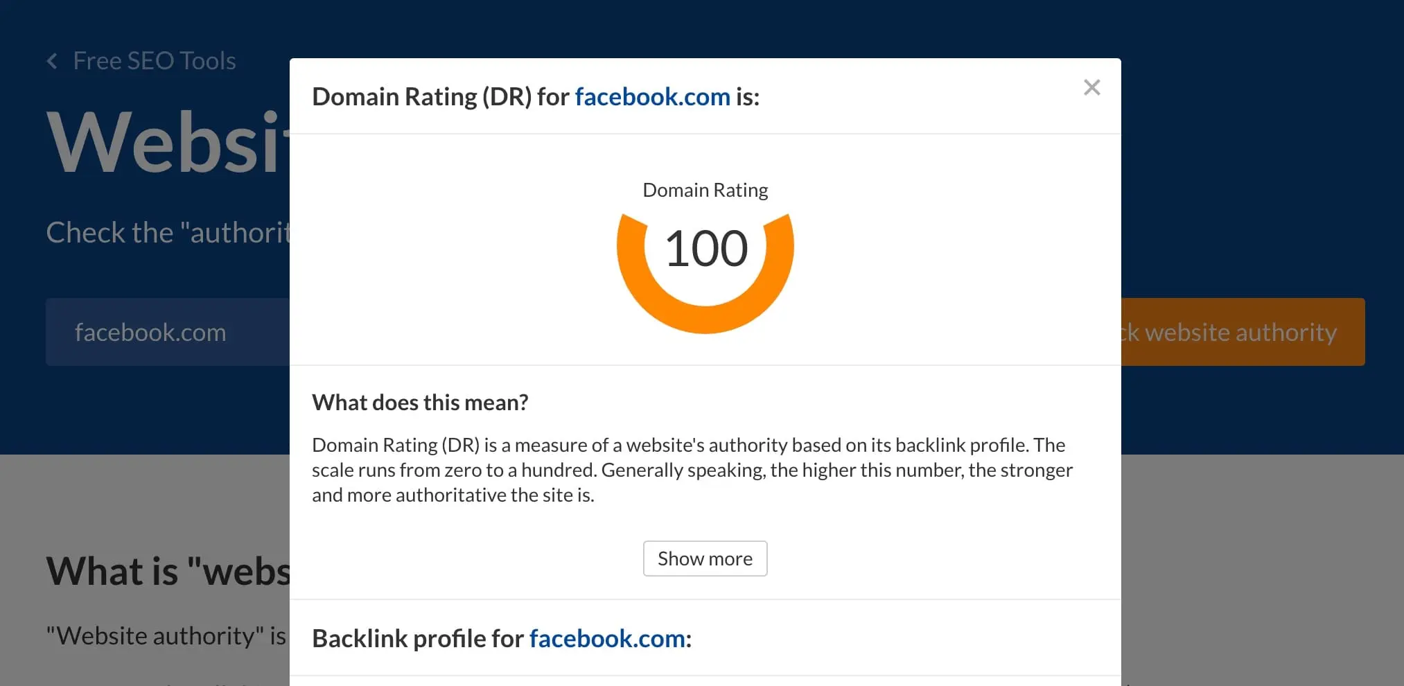 Domain Authority Score Checker