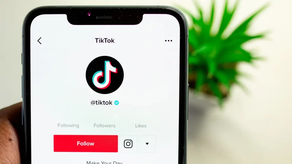 Best TikTok Courses