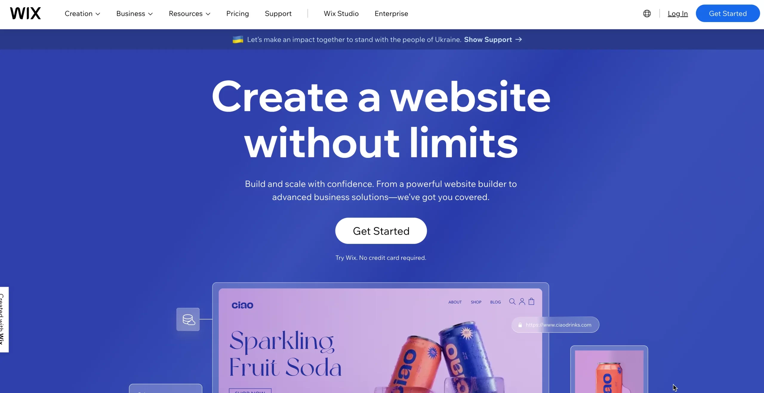 Landing Page Example – Wix