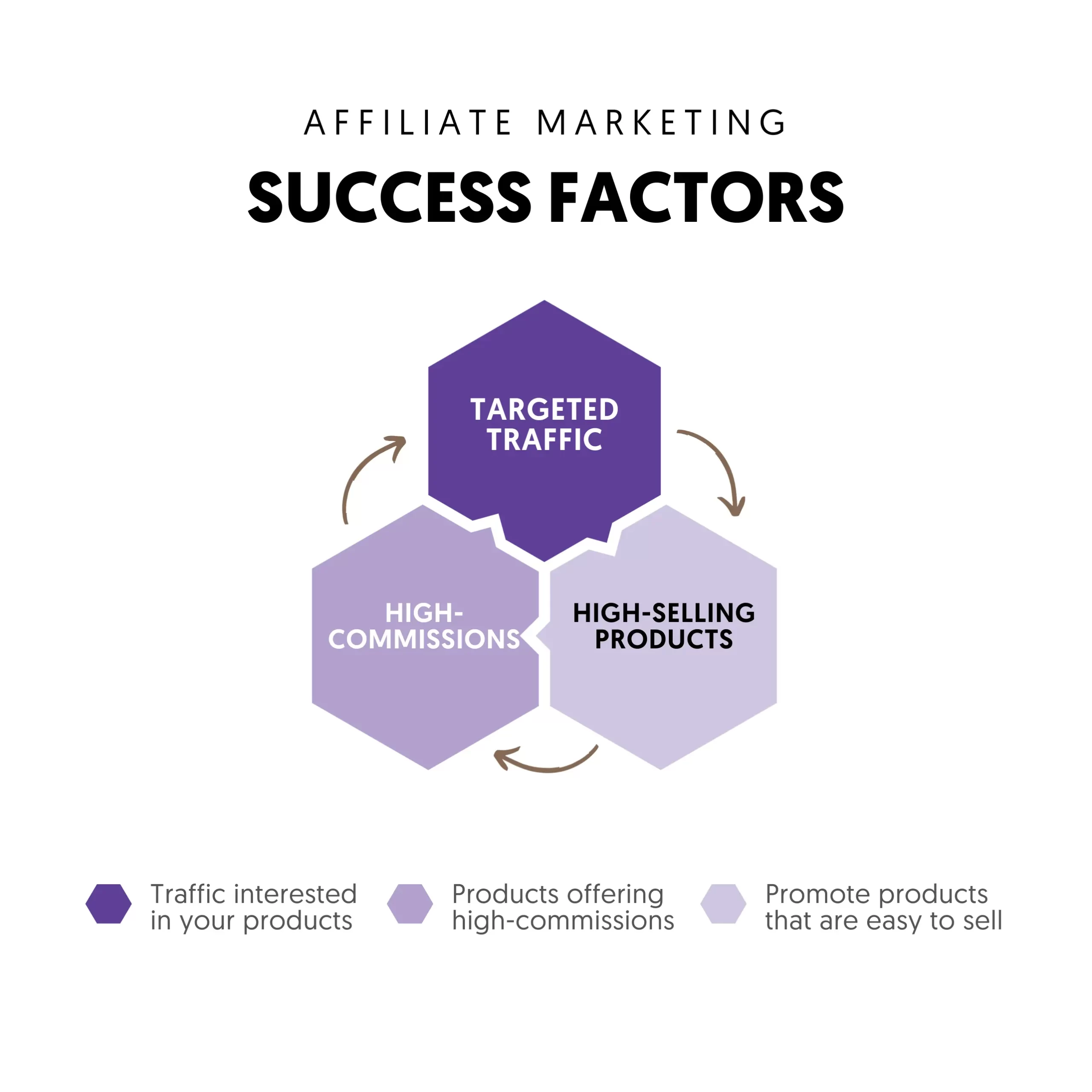 Affiliate Marketing Factors