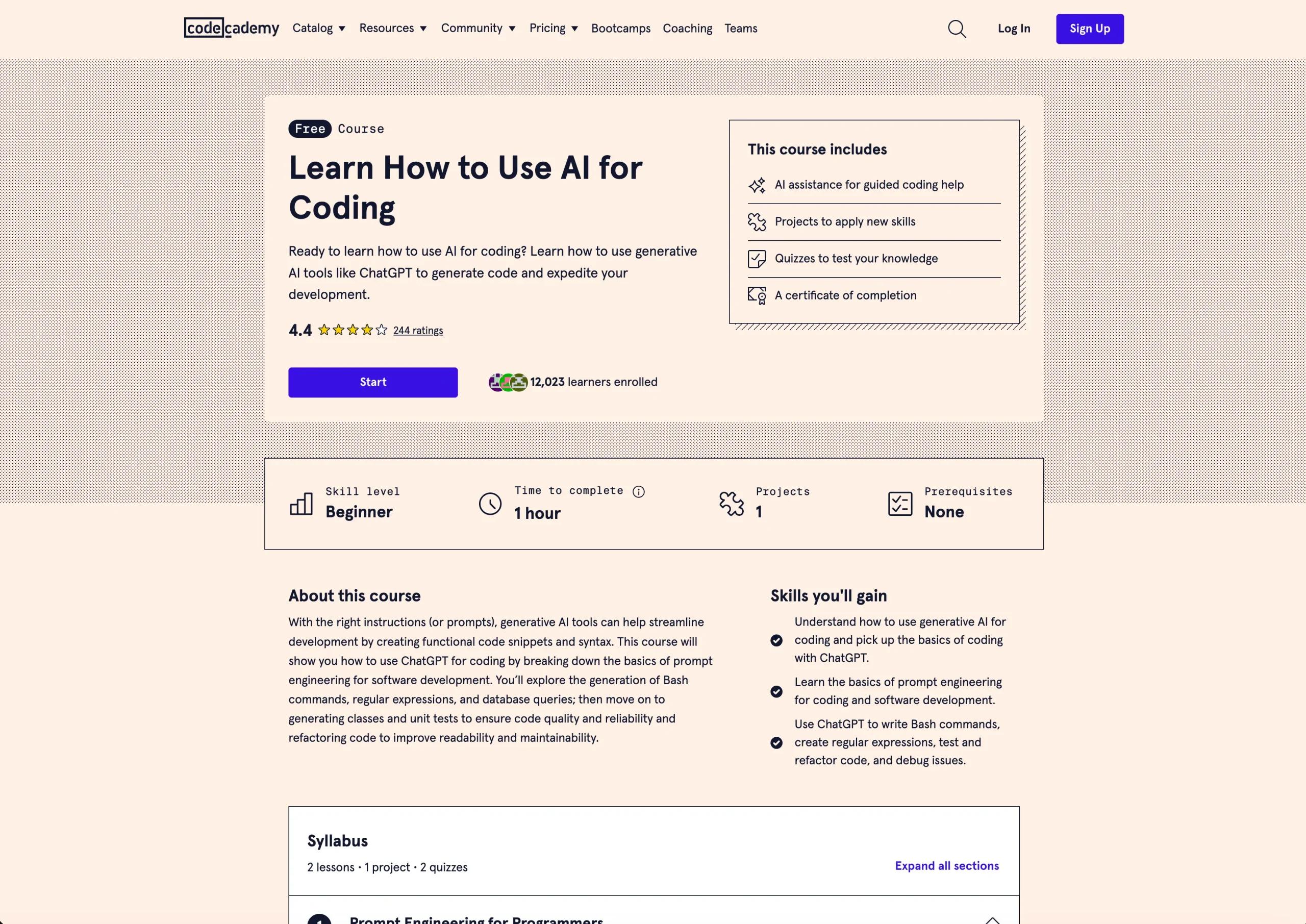 Learn How to Use AI for Coding