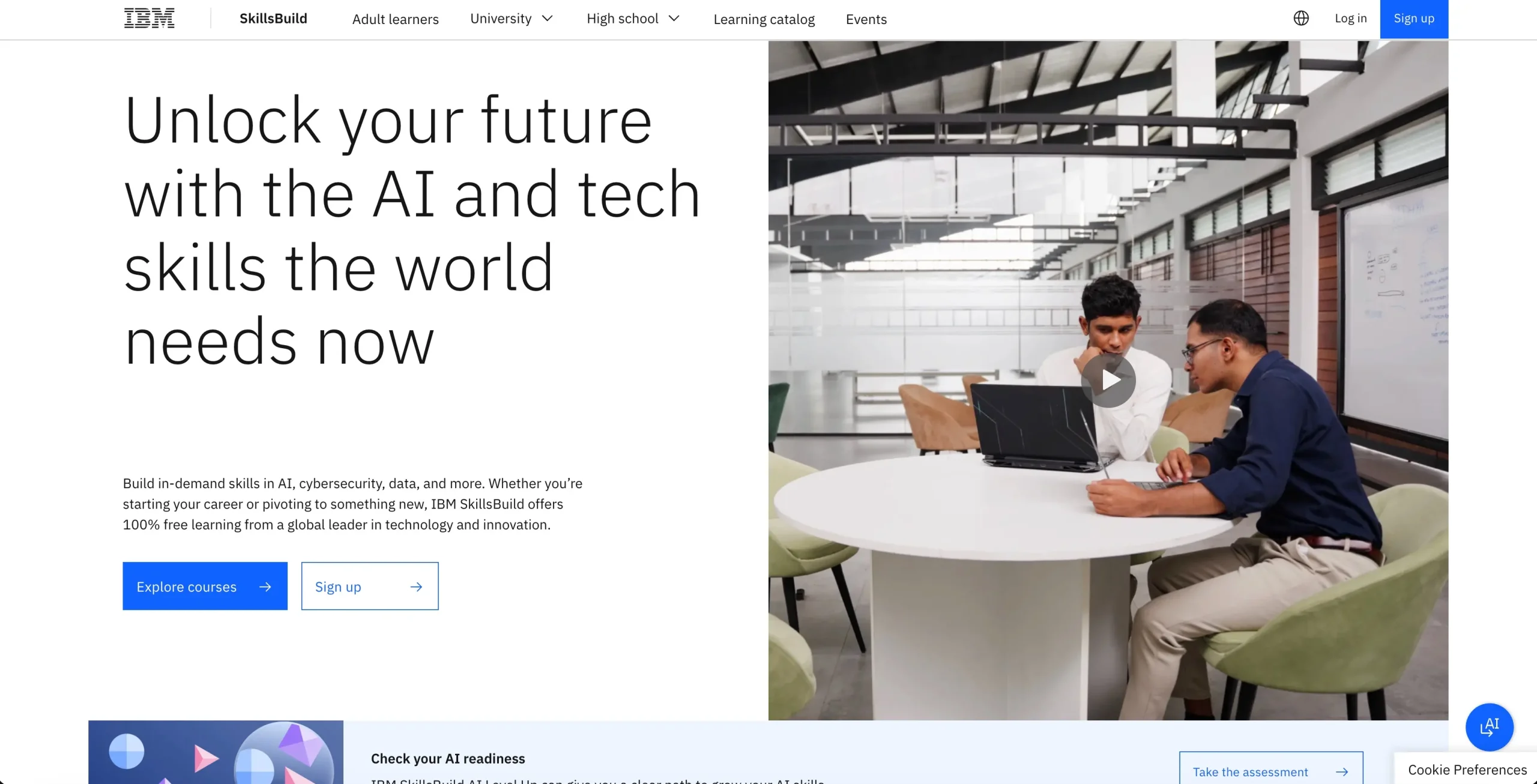 IBM Skills