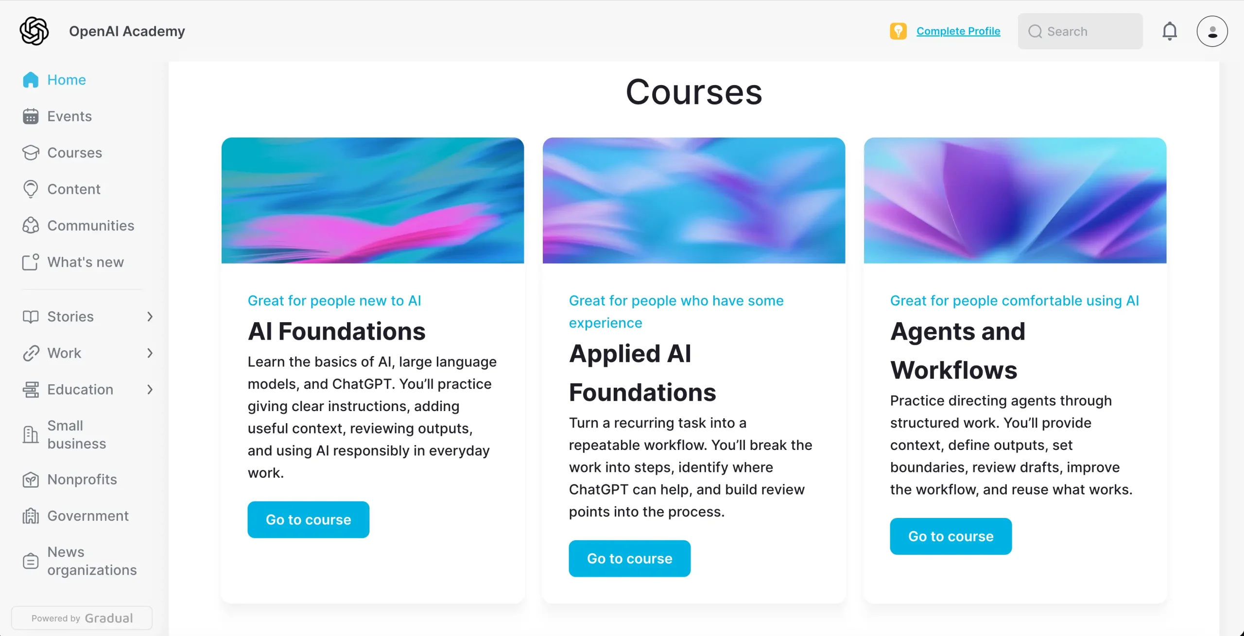 Open AI Academy
