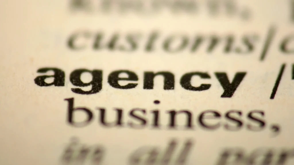 Google Ads Agency
